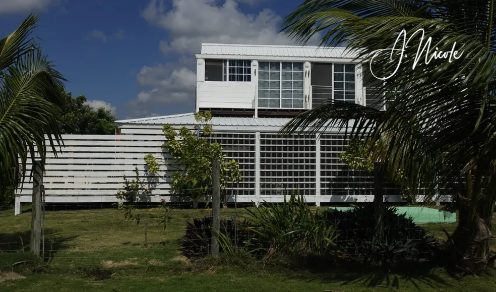 The BNB on Triggerfish