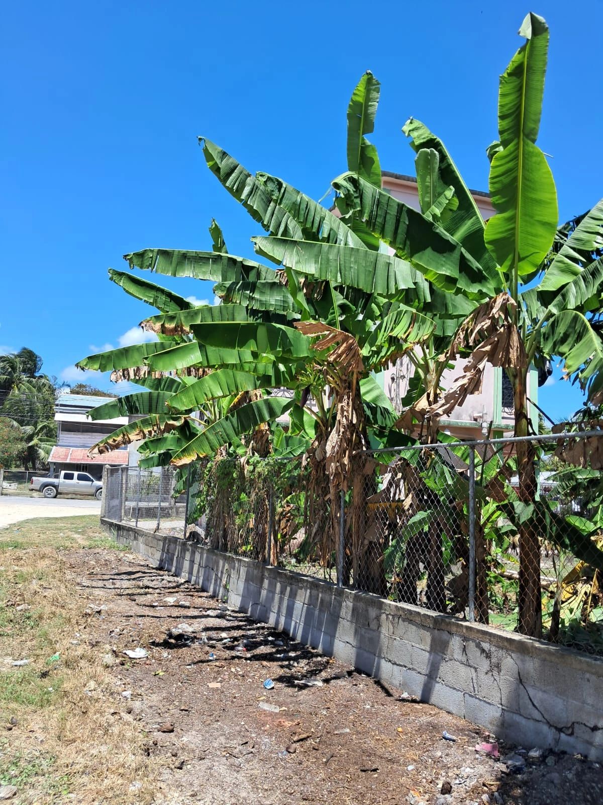 Corozal Corner Lot + House 5